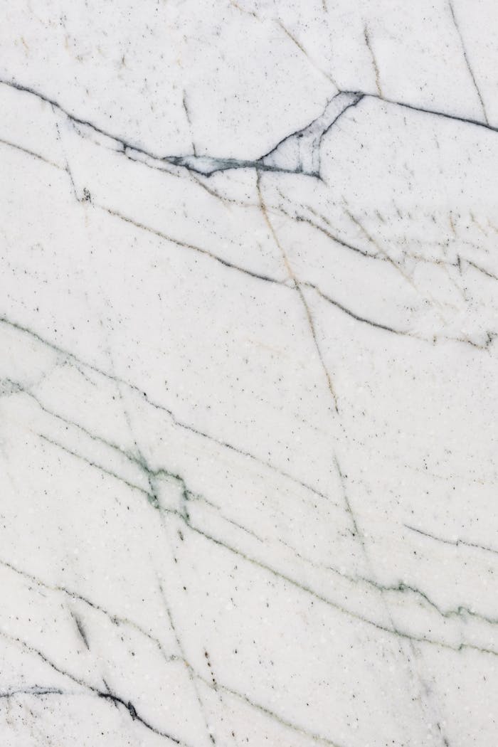brand-02 High-resolution white marble surface with intricate natural veining details.