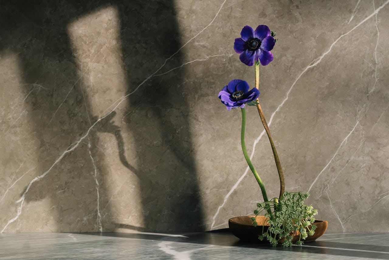creative-01 Artistic still life of purple anemones in vase casting shadows on marble surface.